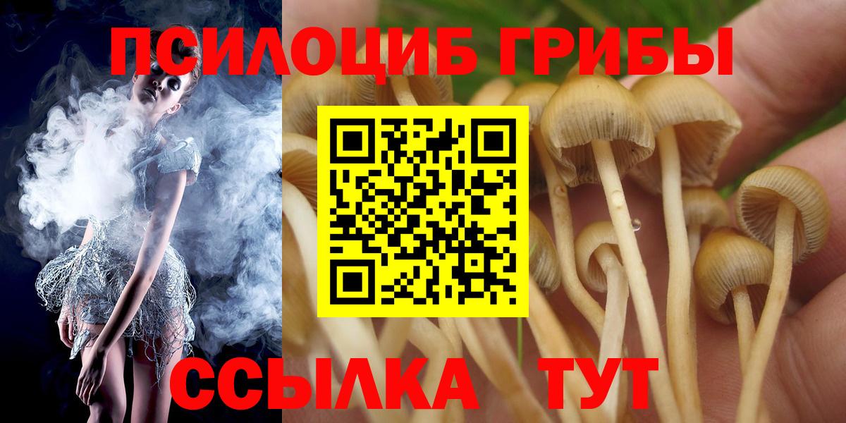 Псилоцибиновые грибы прущие грибы  Псилоцибиновые грибы Cubensis  Вход с VPN  Лыткарино 