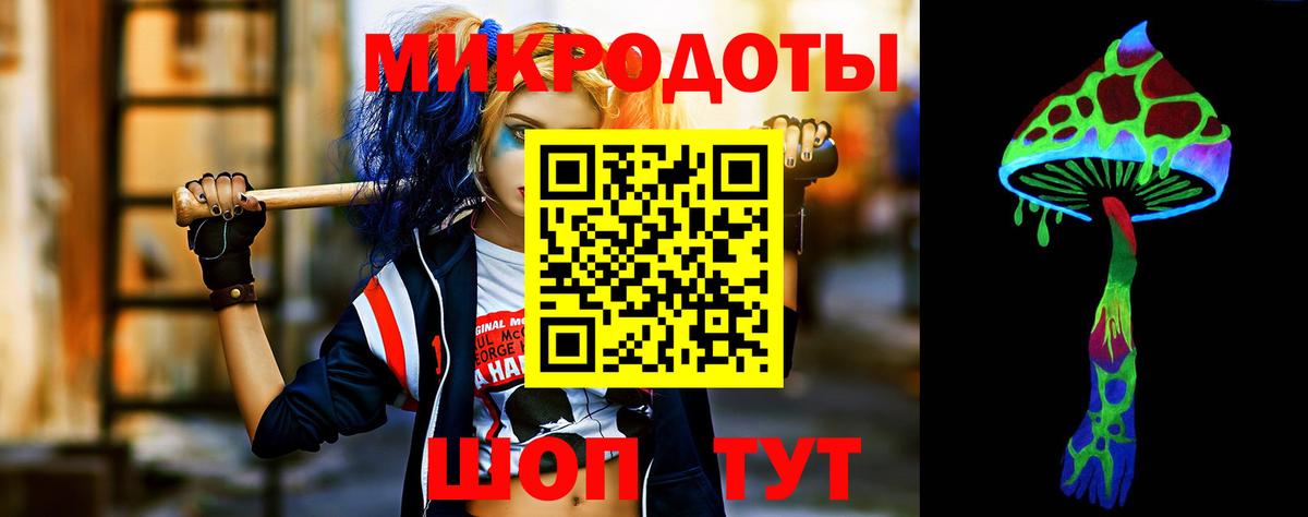 Галлюциногенные грибы Psilocybe Лыткарино